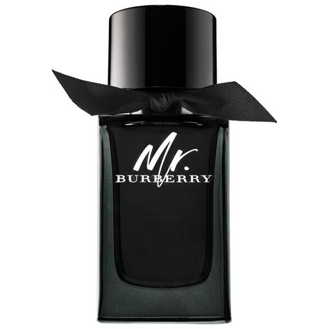 mr burberry eau de parfum 150ml|mr Burberry perfume review.